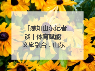 感知山东记者谈｜体育赋能 文旅融合：山东打造体商文旅融合发展新格局