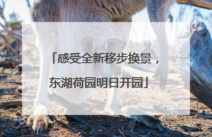 感受全新移步换景，东湖荷园明日开园