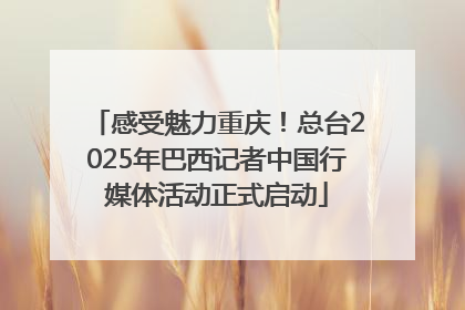 感受魅力重庆！总台2025年巴西记者中国行媒体活动正式启动