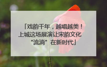 戏韵千年，越唱越美！上城这场展演让宋韵文化“流淌”在新时代