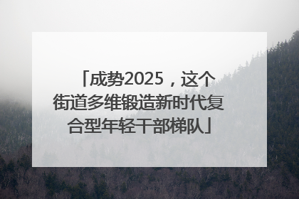 成势2025，这个街道多维锻造新时代复合型年轻干部梯队