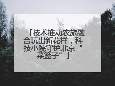 技术推动农旅融合玩出新花样，科技小院守护北京“菜篮子”