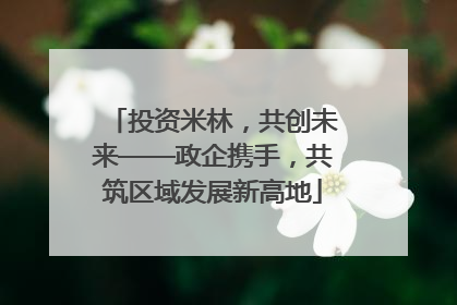 投资米林，共创未来——政企携手，共筑区域发展新高地