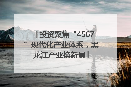 投资聚焦“4567”现代化产业体系，黑龙江产业换新景