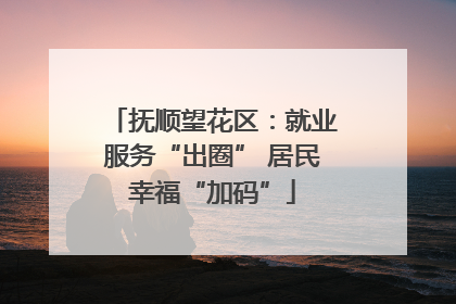 抚顺望花区：就业服务“出圈” 居民幸福“加码”