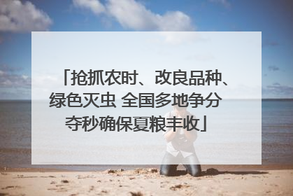 抢抓农时、改良品种、绿色灭虫 全国多地争分夺秒确保夏粮丰收