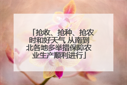 抢收、抢种、抢农时和好天气 从南到北各地多举措保障农业生产顺利进行
