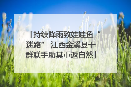 持续降雨致娃娃鱼“迷路” 江西金溪县干群联手助其重返自然