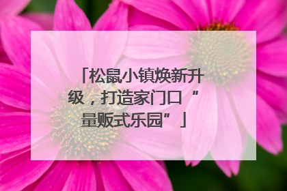 松鼠小镇焕新升级，打造家门口“量贩式乐园”
