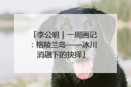 李公明｜一周画记：格陵兰岛——冰川消融下的抉择