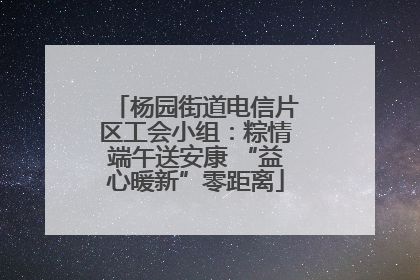 杨园街道电信片区工会小组：粽情端午送安康 “益心暖新”零距离