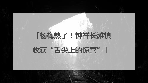 杨梅熟了！钟祥长滩镇收获“舌尖上的惊喜”