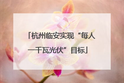杭州临安实现“每人一千瓦光伏”目标