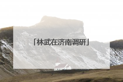 林武在济南调研