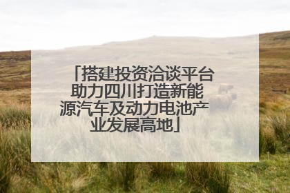 搭建投资洽谈平台 助力四川打造新能源汽车及动力电池产业发展高地