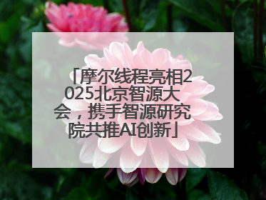 摩尔线程亮相2025北京智源大会，携手智源研究院共推AI创新