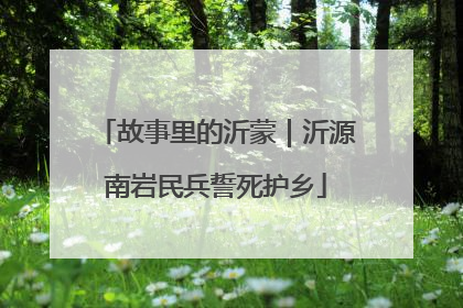 故事里的沂蒙｜沂源南岩民兵誓死护乡