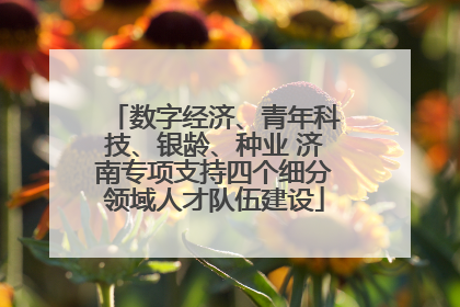 数字经济、青年科技、银龄、种业 济南专项支持四个细分领域人才队伍建设