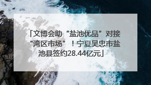 文博会助“盐池优品”对接“湾区市场”！宁夏吴忠市盐池县签约28.44亿元