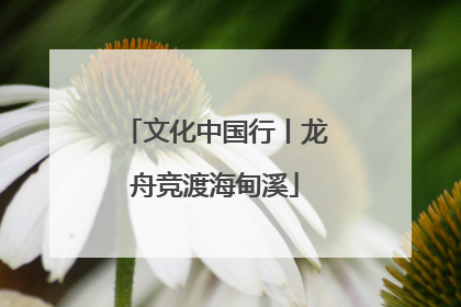 文化中国行丨龙舟竞渡海甸溪