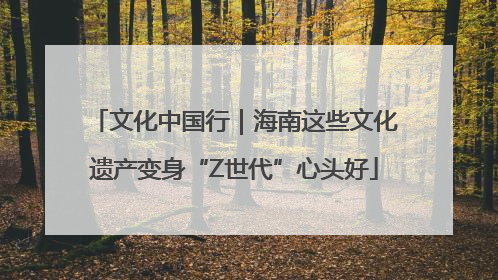文化中国行｜海南这些文化遗产变身“Z世代”心头好