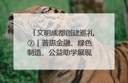 文明成都创建巡礼⑦｜普惠金融、绿色制造、公益助学展现城市文明底色
