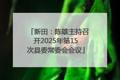 新田：陈雄主持召开2025年第15次县委常委会会议