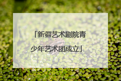 新疆艺术剧院青少年艺术团成立