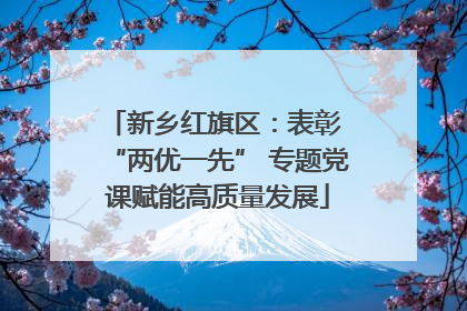 新乡红旗区：表彰 “两优一先” 专题党课赋能高质量发展