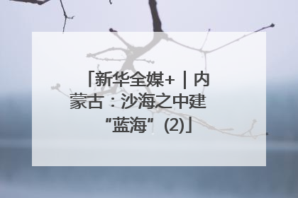 新华全媒+｜内蒙古：沙海之中建“蓝海”(2)