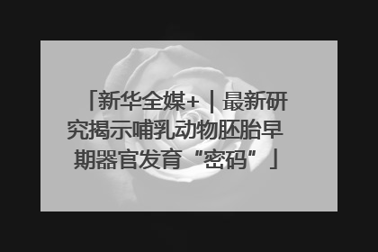 新华全媒+｜最新研究揭示哺乳动物胚胎早期器官发育“密码”