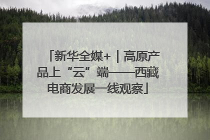 新华全媒+｜高原产品上“云”端——西藏电商发展一线观察