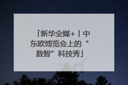 新华全媒+丨中东欧博览会上的“数智”科技秀
