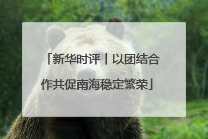 新华时评丨以团结合作共促南海稳定繁荣