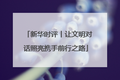 新华时评丨让文明对话照亮携手前行之路