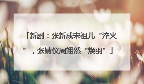 新剧：张新成宋祖儿“淬火”，张婧仪周翊然“焕羽”