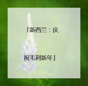 新西兰：庆祝毛利新年