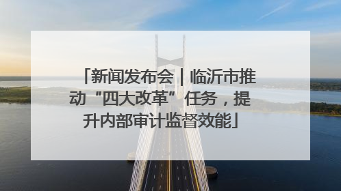 新闻发布会｜临沂市推动“四大改革”任务，提升内部审计监督效能