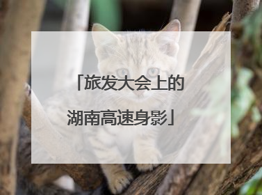 旅发大会上的湖南高速身影
