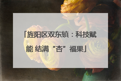 旌阳区双东镇：科技赋能 结满“杏”福果