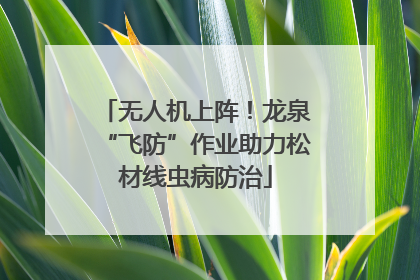 无人机上阵！龙泉“飞防”作业助力松材线虫病防治