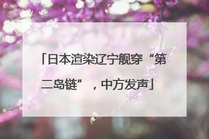 日本渲染辽宁舰穿“第二岛链”，中方发声