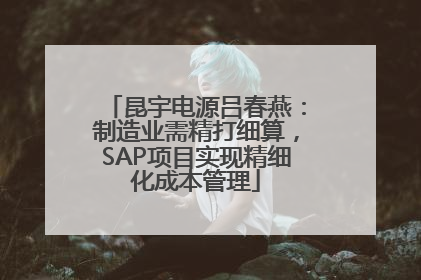 昆宇电源吕春燕：制造业需精打细算，SAP项目实现精细化成本管理