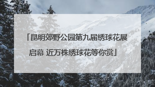 昆明郊野公园第九届绣球花展启幕 近万株绣球花等你赏