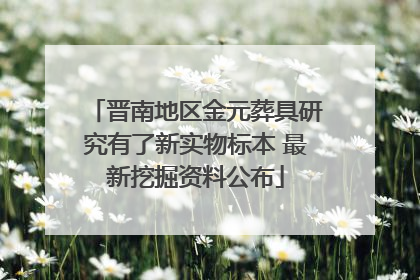 晋南地区金元葬具研究有了新实物标本 最新挖掘资料公布