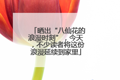 晒出“八仙花的浪漫时刻”，今天，不少读者将这份浪漫延续到家里