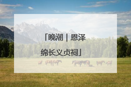 晚潮｜恩泽绵长义贞祠