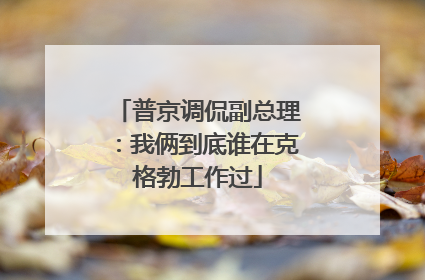 普京调侃副总理：我俩到底谁在克格勃工作过