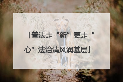 普法走“新”更走“心”法治清风润基层