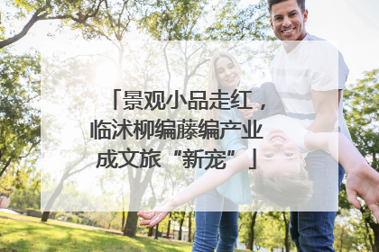 景观小品走红，临沭柳编藤编产业成文旅“新宠”
